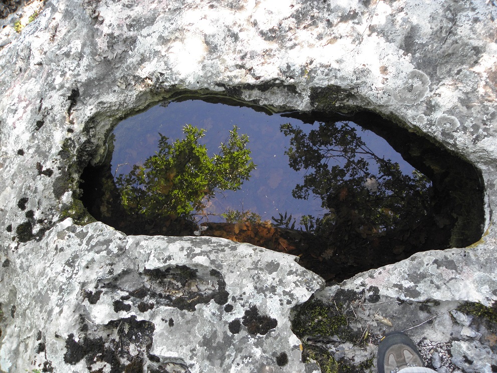 Voda je naš svijet: Skrivena priča kamenog diva – Sjevernog Velebita 