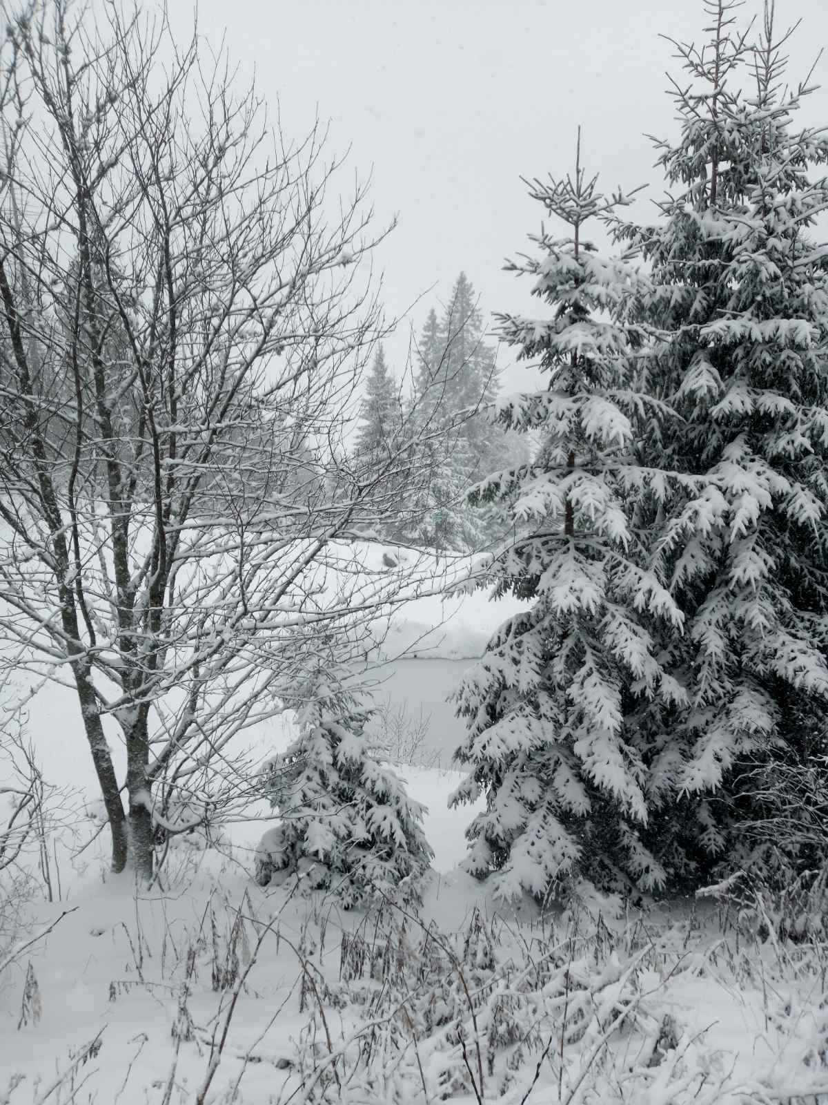 Obavijest o stanju u Parku