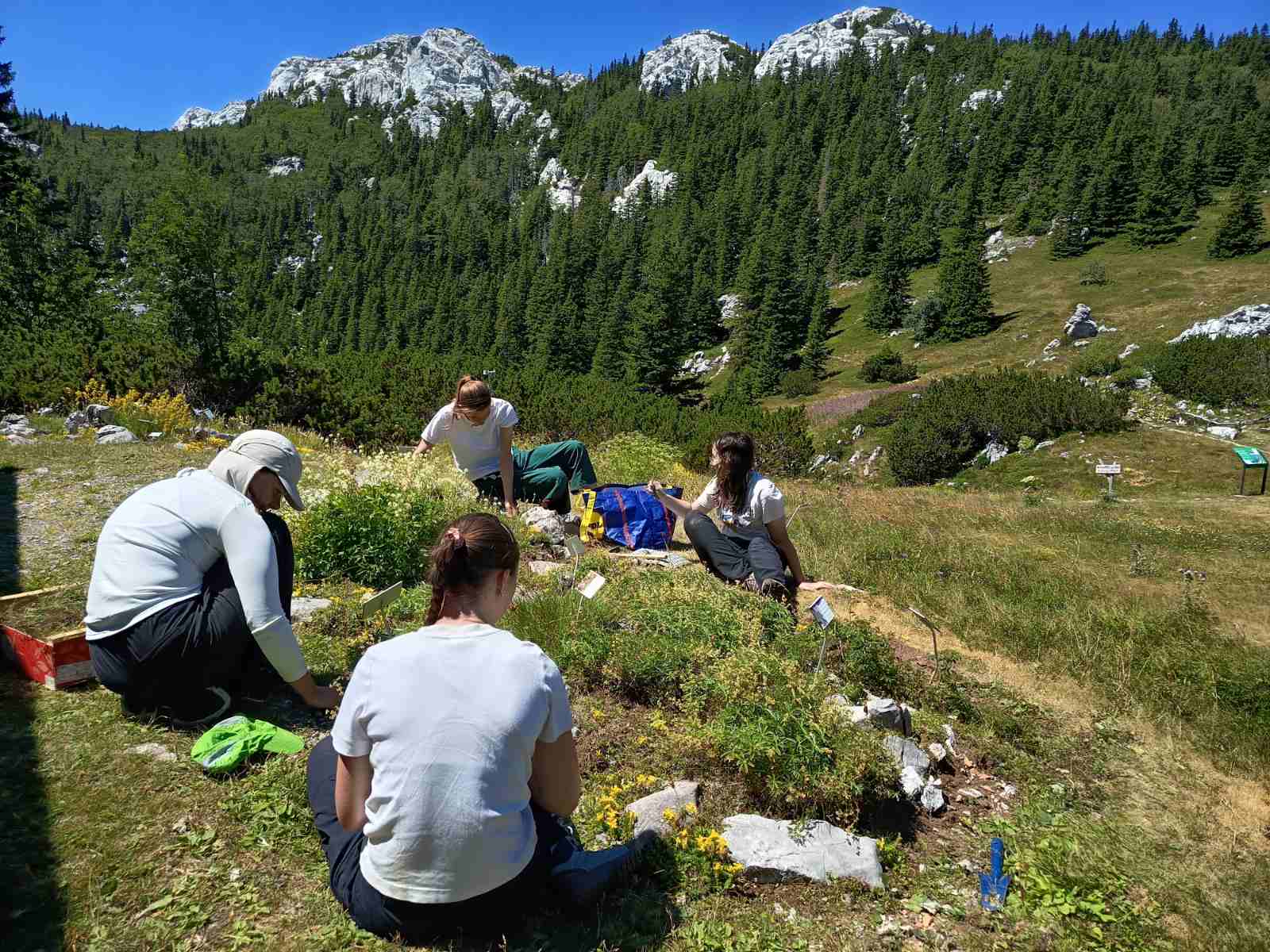 U Nacionalnom parku Sjeverni Velebit u tijeku ovogodišnji volonterski program