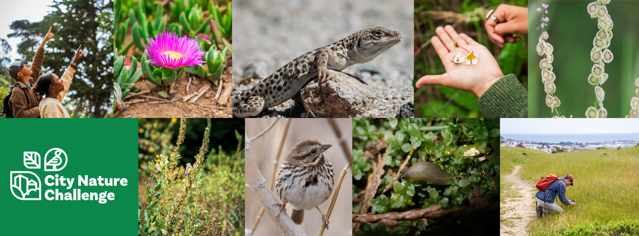 Sudjelovanje JU Nacionalni park Sjeverni Velebit u obilježavanju Dana Grada Senja