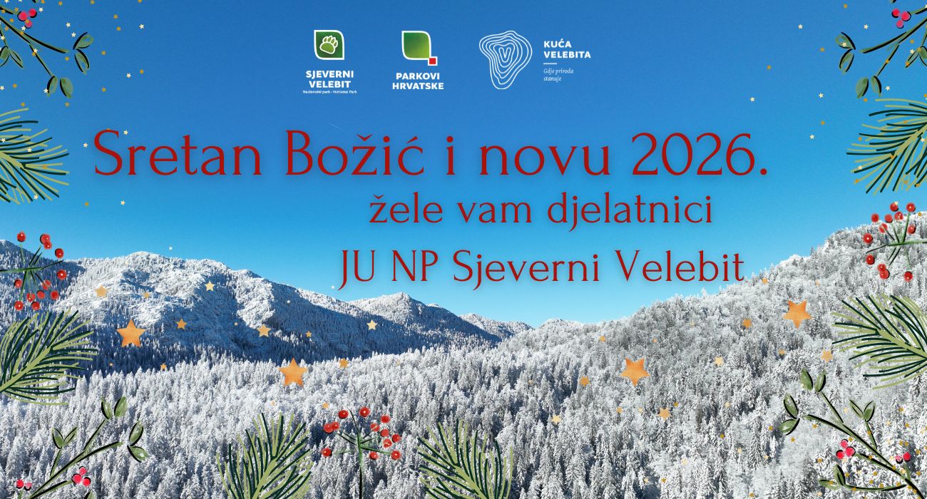 Čestit Božić i sretna nova 2026. godina!